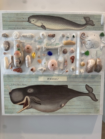 Whales and Shells by artist Teresa Green
